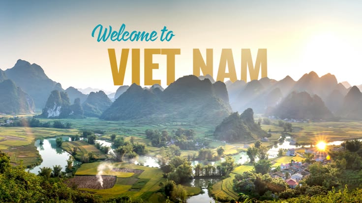 Cách Đi Xe Bus Ở Việt Nam: Hướng Dẫn Cho Người Đi Lần Đầu