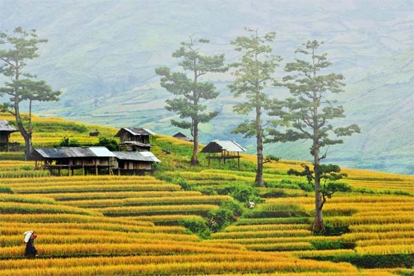 ban-lac-mai-chau-hoa-binh.jpg