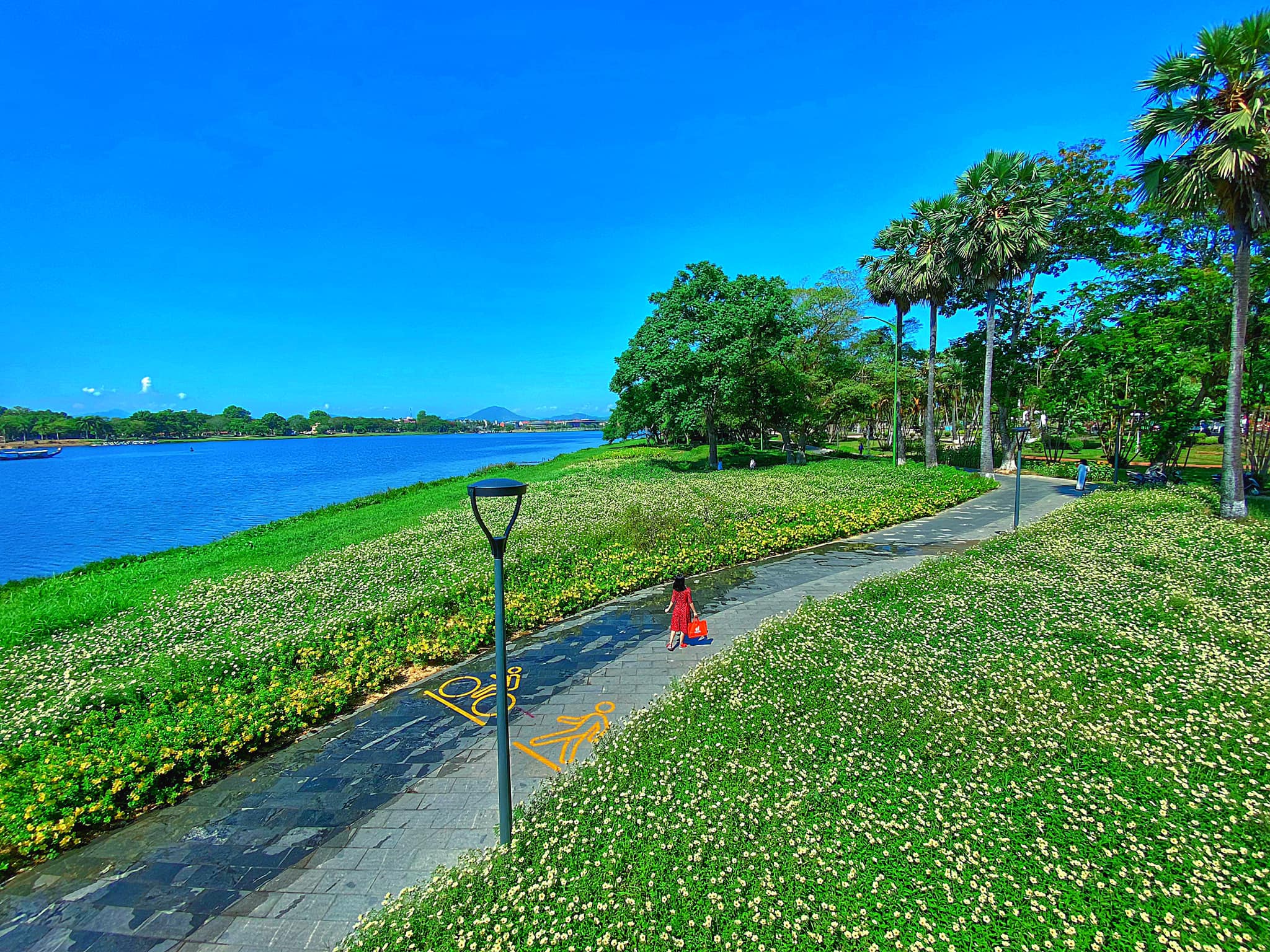 The Thai Pomelo Blossom Road