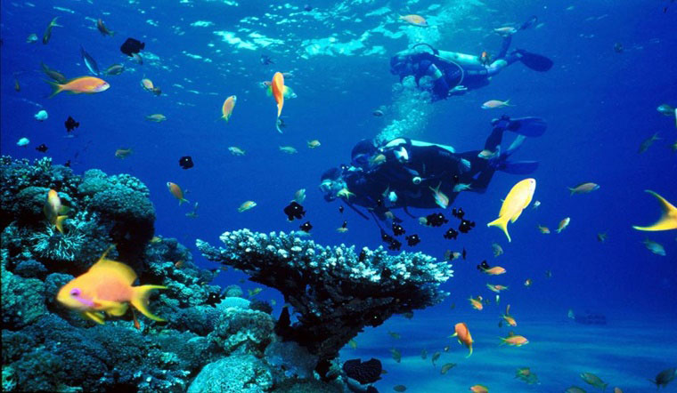 Nha Trang Oceanography Institute