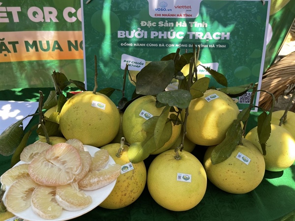 Pomelo of Phuc Trach
