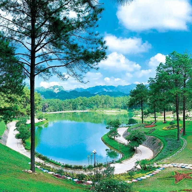 Ban Ang Pine Forest - Dong Sang commune, Moc Chau district, Son La province