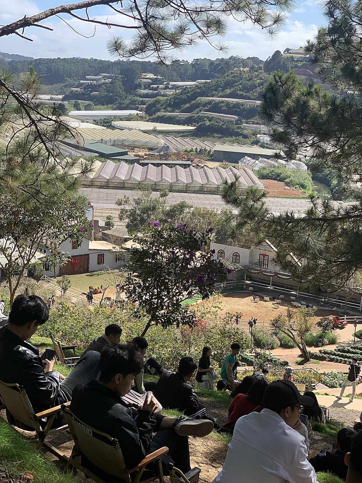 Beautiful morning view of Xuan Huong Lake, pine forests, flower gardens, and cafés in Da Lat.