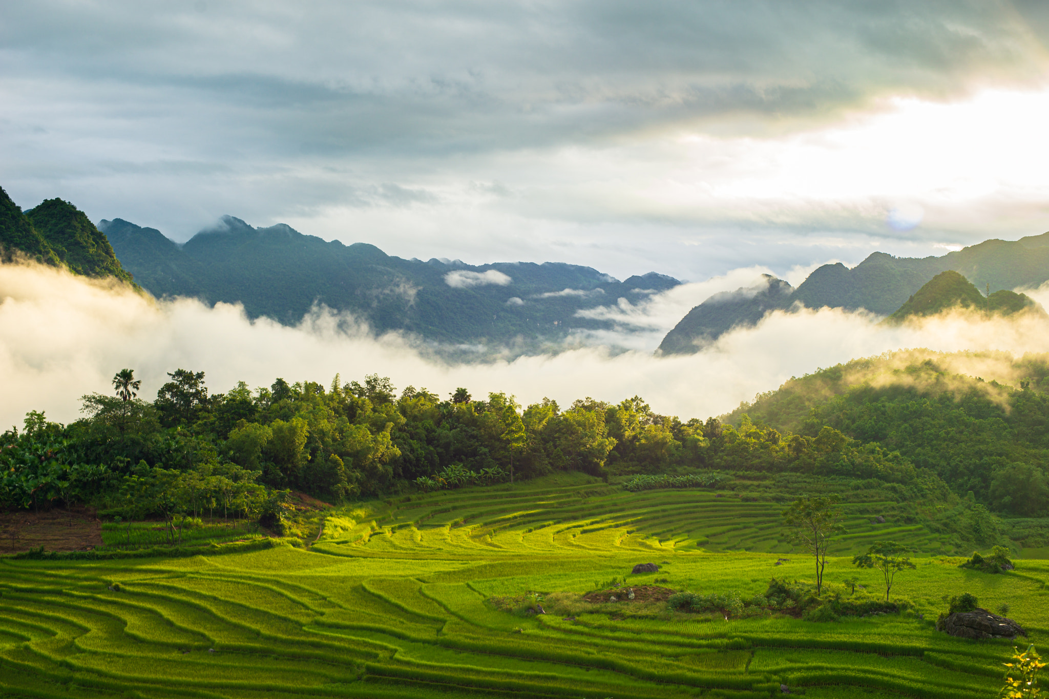Unique destination for those who want to experience the peace and traditions of Vietnam