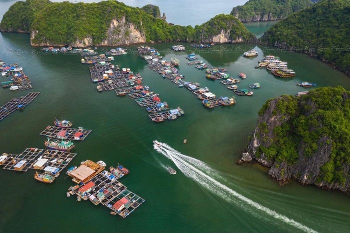 Cai Beo Floating Village - The Cradle of Vietnamese Maritime Culture