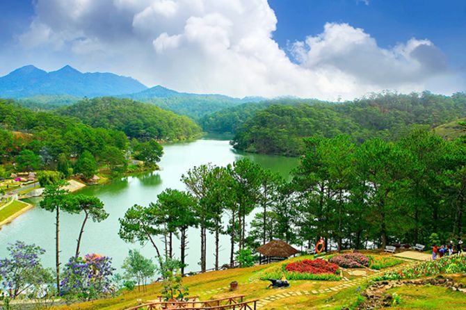 Da Lat's Golden Valley
