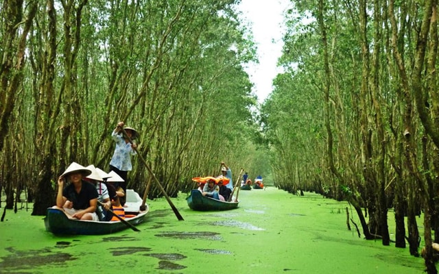 Exploring the Enchanting Beauty in Can Tho A Wonderful Tourist Destination