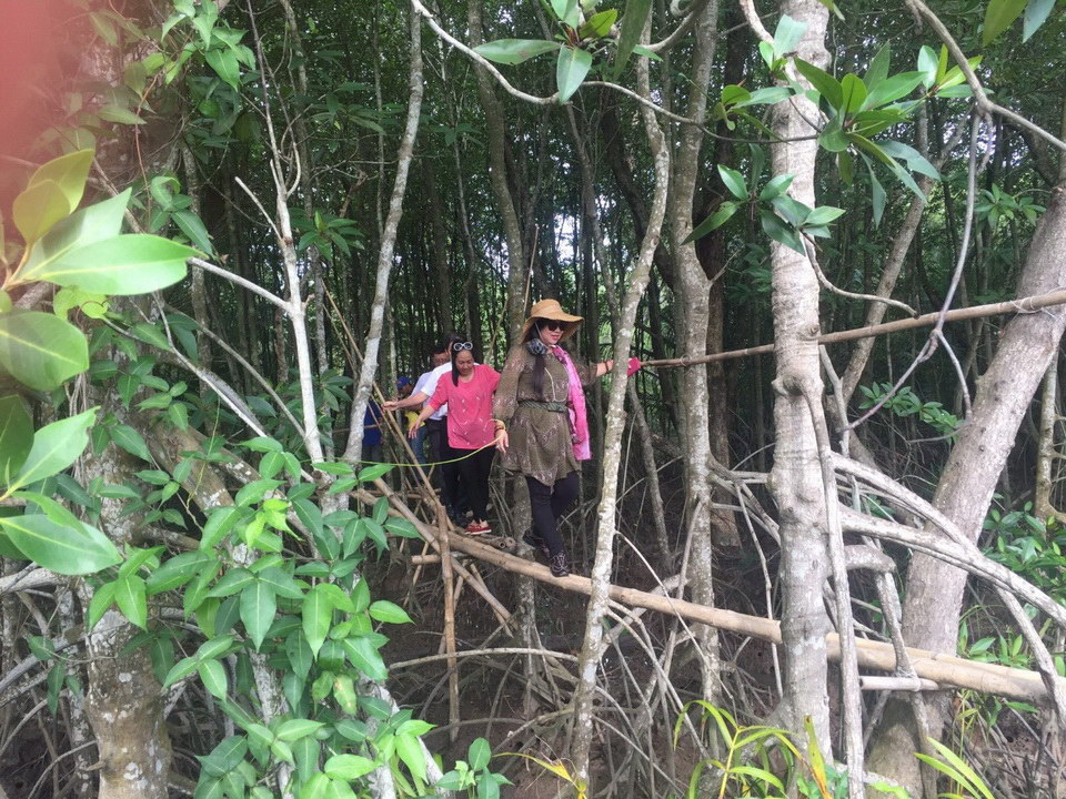 dao-ngoc-tra-vinh.jpg