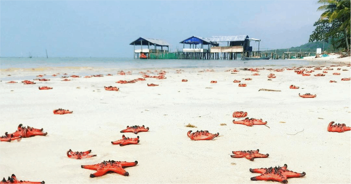bai-sao-phu-quoc.jpg