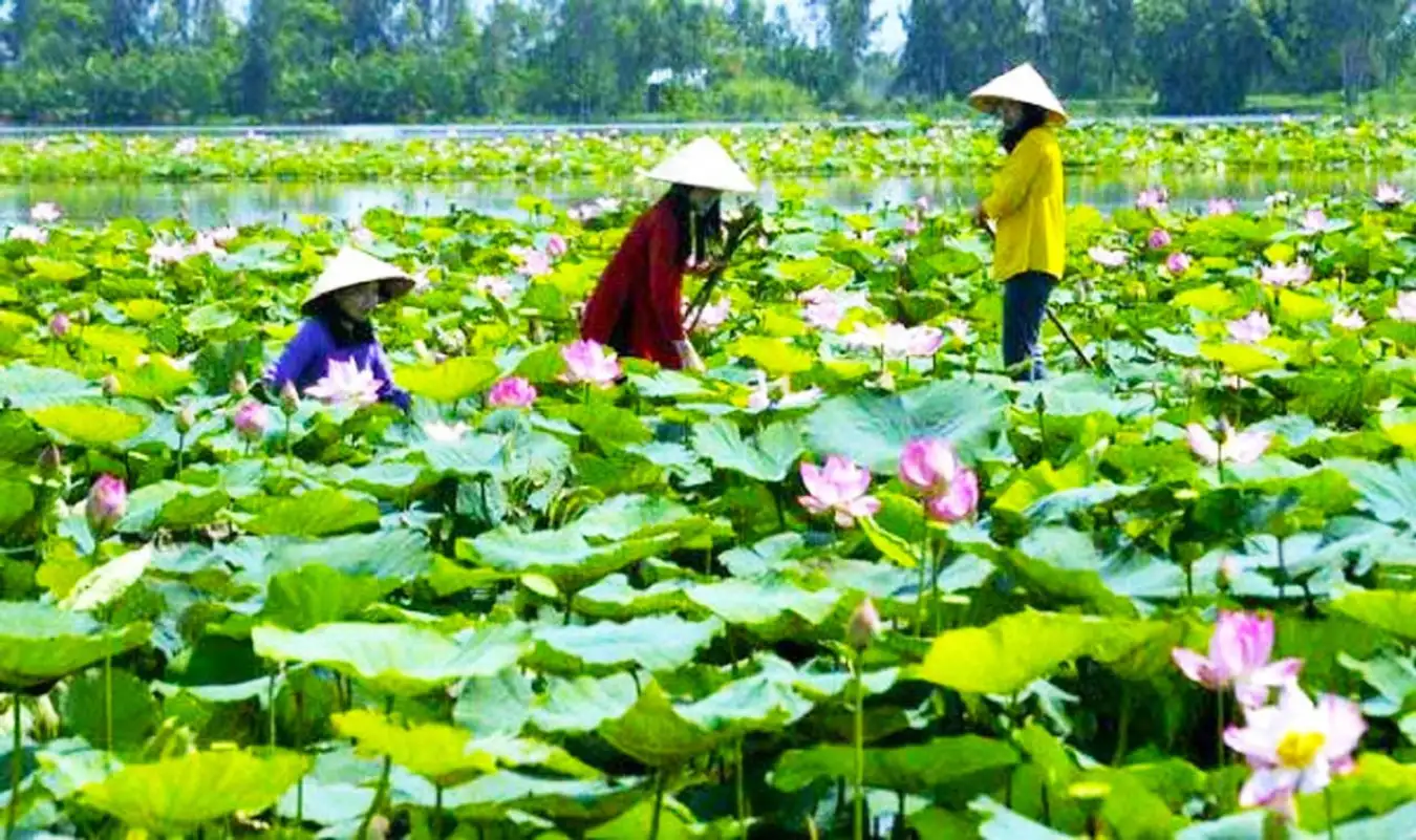 Long An - A Must-Visit Tourist Destination in Long An