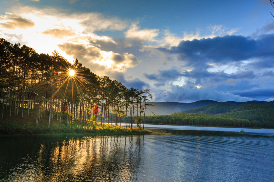 Tuyen Lam Lake Pine Forest