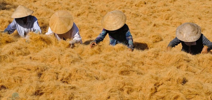 Cu Lao Minh