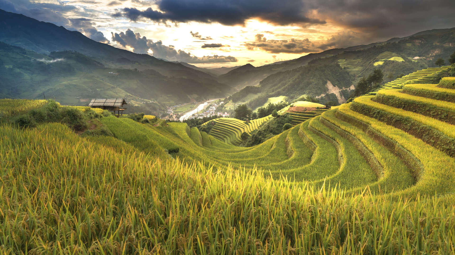 Hoang Su Phi is an enticing tourist destination in the western part of Ha Giang province.