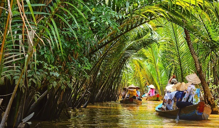 Underwater Ecotourism at Cồn Quy