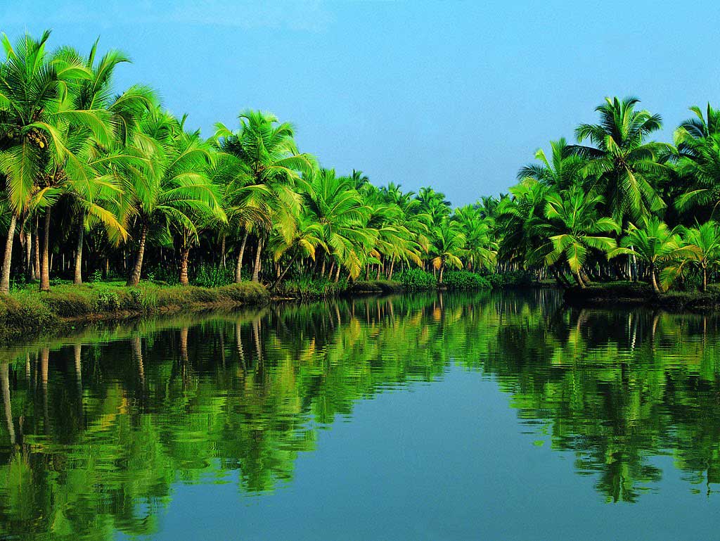 Ben Tre Exploring the Coconut Land