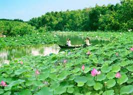 Wetland Conservation Area of Lang Sen
