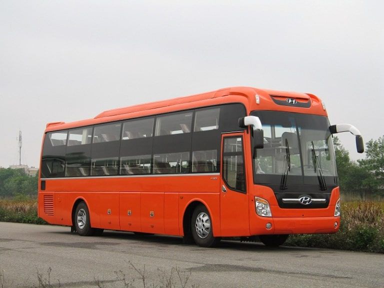 Cuong Hung Coach