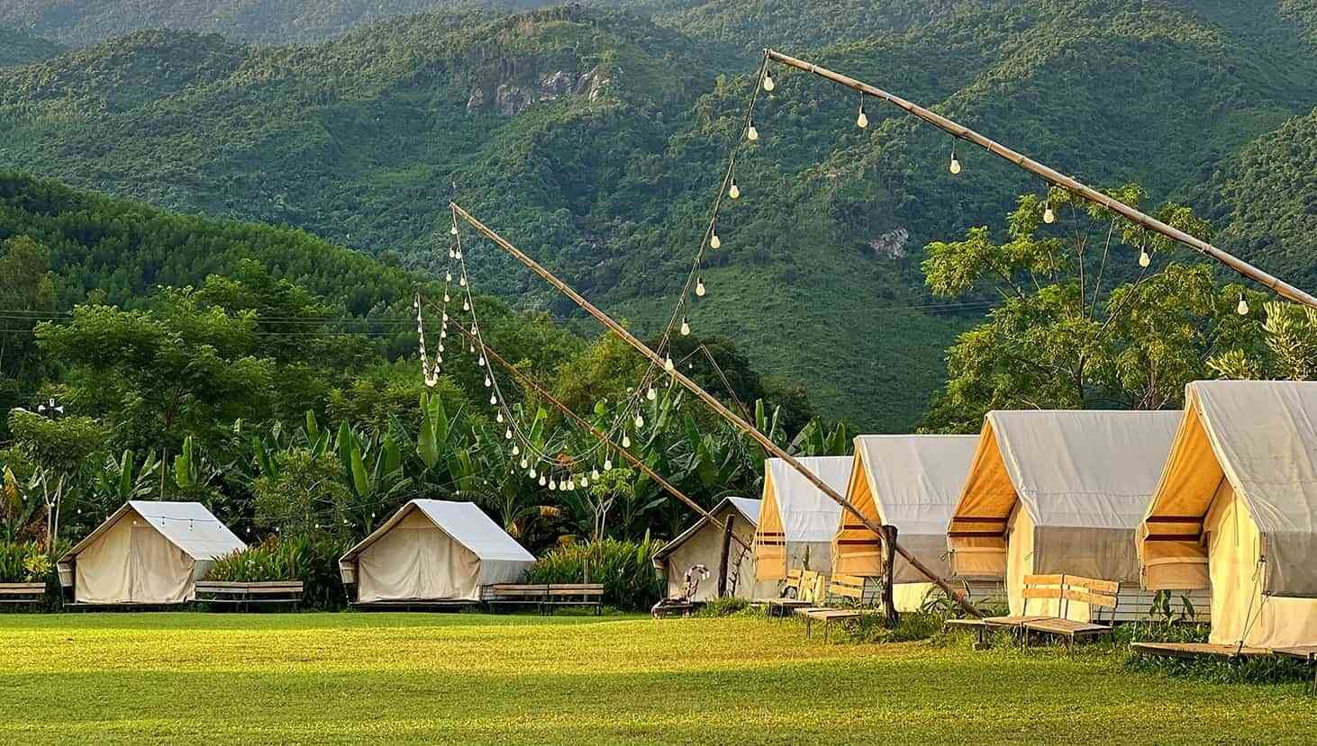 review-khu-cam-trai-hoa-bac.jpg