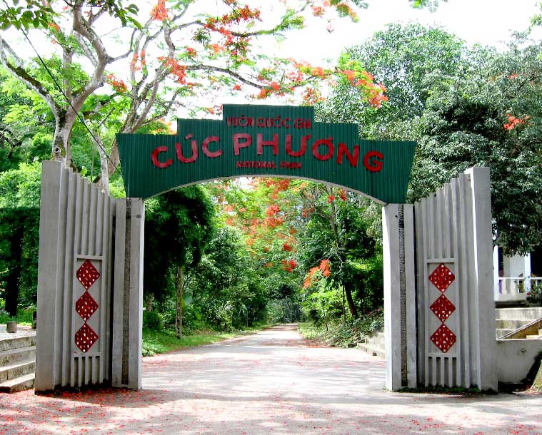 Cuc Phuong National Park