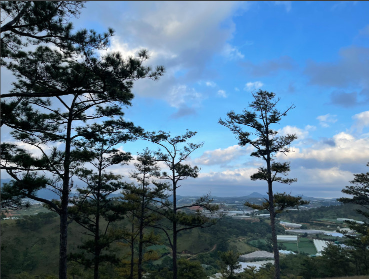 Da Lat Pine Hill at Prenn Pass