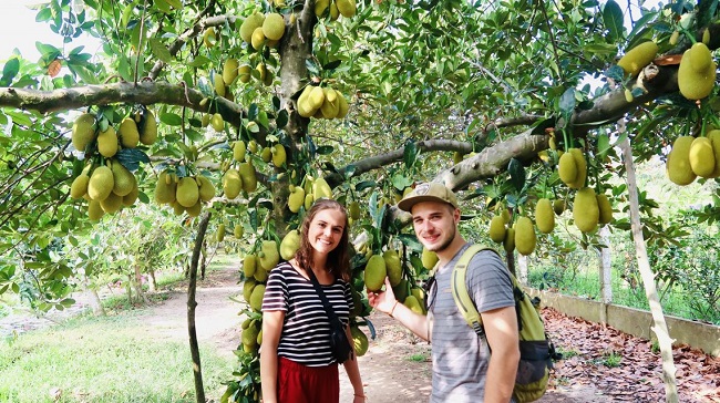 The Lush Orchards of Can Tho