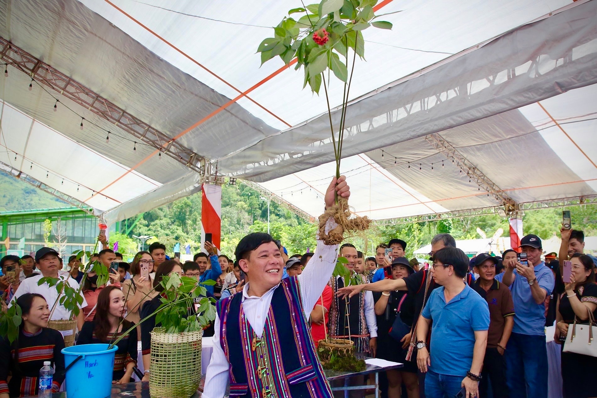 Ngoc Linh Ginseng Competition